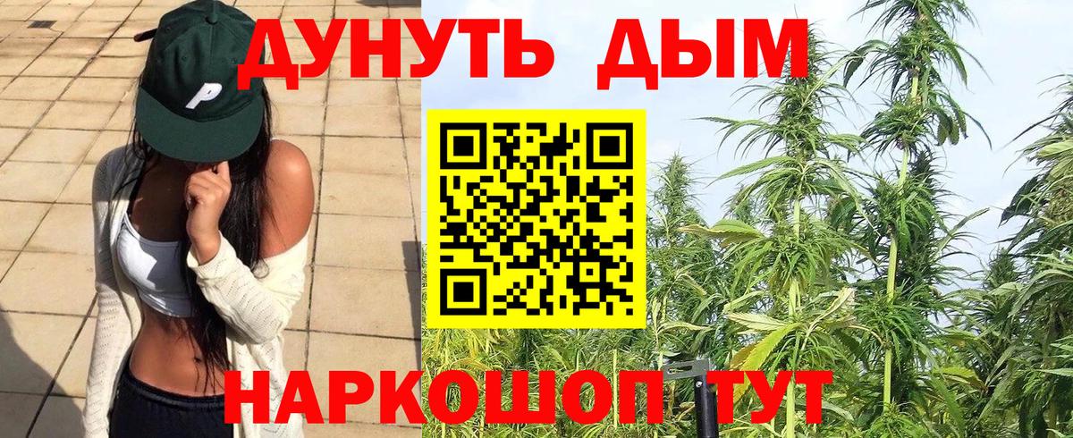 Бошки Шишки конопля  Конопля Bruce Banner  Магадан  Конопля Ganja  Вход с VPN 